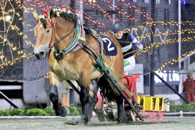 タカラキングダム異次元の末脚で４歳三冠王手、ばんえい銀河賞