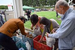 ジャガイモの詰め放題中の来場者