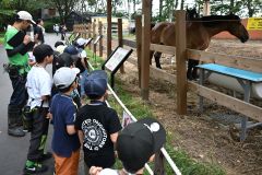 馬のふれあい舎