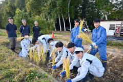 たわわにみのった稲を刈り取る生徒たち（後方左から高山教諭、若山さん）