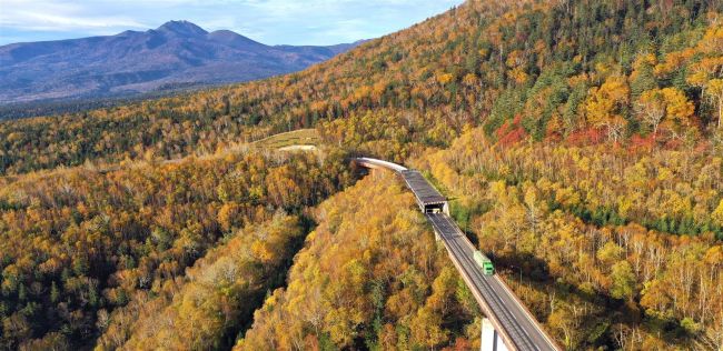 紅葉のじゅうたん、三国峠で１０月中旬まで見ごろ