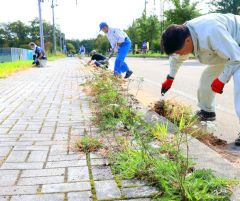 道路の枯れ草や雑草を取り除く参加者ら