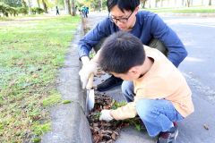 道路の雑草を抜く参加者