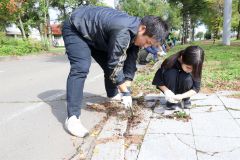 歩道の雑草を抜く参加者