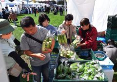 音更町で収穫された旬の野菜などを買い求める来場者（６日午前１１時ごろ、道の駅おとふけで。金野和彦撮影）