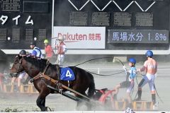 エキシビションレースで騎手顔負けの手綱さばきを披露する（４）日野未来選手。後方でサポートするのは渡来心路騎手