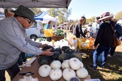 カボチャをはじめとする旬の野菜が販売された（１３日午前１０時１５分ごろ、須貝拓也撮影）