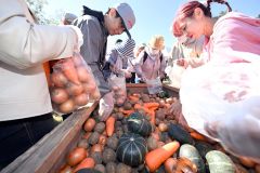 来場者の人気を集めた野菜の詰め放題（１３日午前１０時１５分ごろ、須貝拓也撮影）