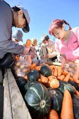 岩内仙峡で秋の味覚に舌鼓　もみじまつり盛況