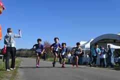 秋晴れの下、優勝を目指して力走する駅伝の参加児童ら