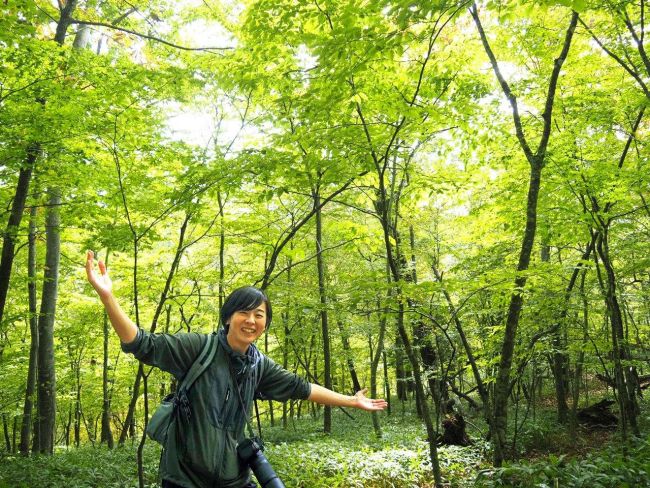 秋の森で一日過ごそう　豊頃十弗の森で２６日、木育イベント　ニッタ