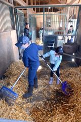 厩舎の掃除を体験する参加者