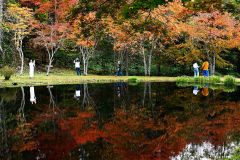 秋色、深まる　鹿追・福原山荘で紅葉が見頃　２０日まで無料公開 6