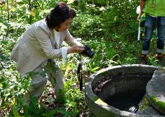 こんこんとわき出る湧水を写真に収める石川名誉教授（須貝拓也撮影）