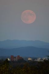 帯広市内に昇ったスーパームーン（１７日午後４時半すぎ、帯広の森の「もりの山」で。塩原真撮影）