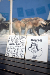 おびひろ動物園に残されている、西田さんが１９８５年６月２日に園に訪れた際に園に贈ったサイン色紙、はちまきには「ＮＡＯＭＩ」と書かれている。園では今後展示を予定している