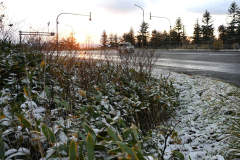 路肩に雪が降り積もった狩勝峠（２０日午前６時ごろ、須貝拓也撮影）