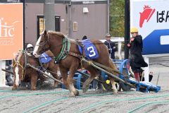 優勝した（３）ホクセイタケコが第２障害を駆け上がる（須貝拓也撮影）