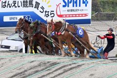 第２障害で競り合う１才馬たち（須貝拓也撮影）