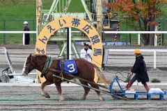 後続を突き放す独走で優勝したホクセイタケコ（須貝拓也撮影）