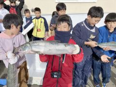 秋サケ水揚げに歓声　大樹すてっぷ「秋キャンプ」 2