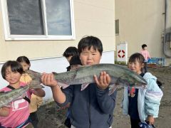 秋サケ水揚げに歓声　大樹すてっぷ「秋キャンプ」 4