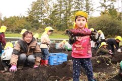 収穫したサツマイモを掲げる園児