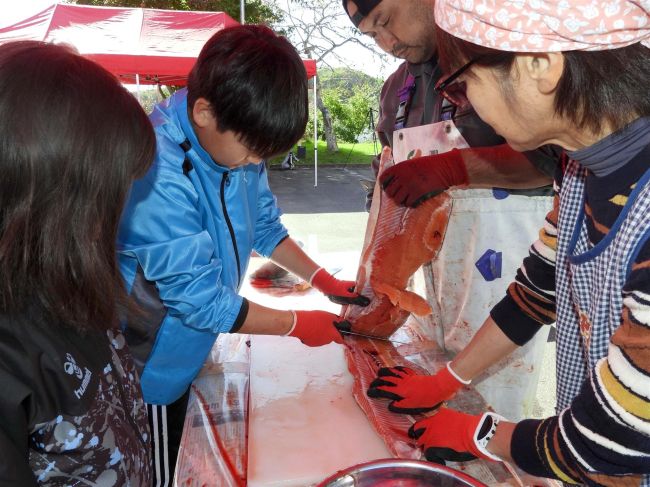 【写真】児童がサケさばきに挑戦　浦幌小５年生