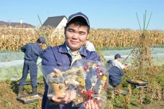 中札内彩る花苗　ＣＦ生かし今年も　中札内高等養護学校