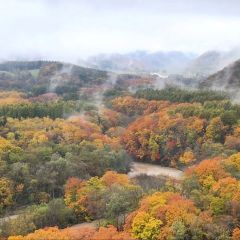 雨上がりの岩内仙峡。チーム西遊記さん投稿