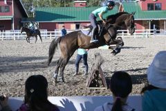 障害物を飛び越える馬と馬術部員