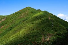 急登もなく登りやすいニセイカウシュッペ山。多くの登山者で賑わっていた