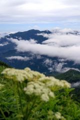 眼下に広がる雲海に何度も足を止めた黒岳登山