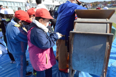 伝統農具で脱穀作業　池田小学校 3