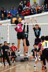 全十勝中学校秋季バレーボール大会