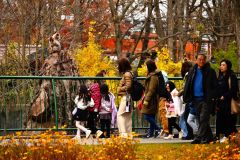 動物を見て回る来園者（４日、午前９時半ごろ。金野和彦撮影）