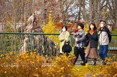 動物を見て回る来園者（４日、午前１０時半ごろ。金野和彦撮影）