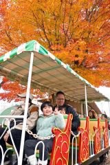 遊具を楽しむ来場者（４日、午前１１時半ごろ。金野和彦撮影）