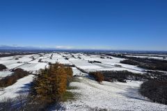 うっすらと白色に雪化粧した畑（７日午前９時ごろ、芽室町の新嵐山スカイパーク展望台から、須貝拓也撮影）