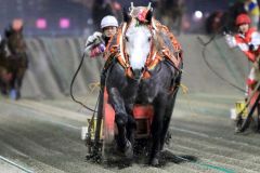 クインカップを制したミュウと鈴木騎手（ばんえい十勝提供）