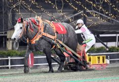 ミュウ重賞初勝利　ばんえいクインカップ