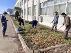 収穫作業に励むＪＡ本別町青年部の勇足美帯支部のメンバーら