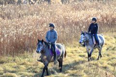 札内川周辺をパトロールする馬たち（長尾悦郎通信員撮影）