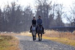 札内川堤防上をパトロールする馬たち（長尾悦郎通信員撮影）