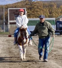 馬との触れ合いを楽しんだ仙美里小の児童たち