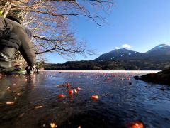 凍った湖面をナナカマドの実が彩った