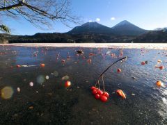 凍った湖面をナナカマドの実が彩った