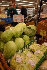 野菜２倍高値も　本州産地天候不順、カット販売で工夫