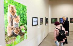 アトリウムとギャラリーでは写真、文芸、華道、書道、美術の５部会の作品を展示。箏曲演奏やお茶席も行われた