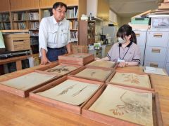 ８７年前の植物標本発見　浦幌小学校理科室で